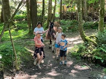 Alpenschule - Spaziergang mit Alpakas, Esel und Lamas