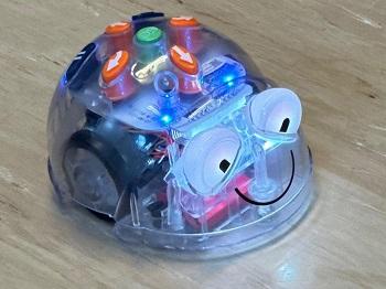 Bee-Bots